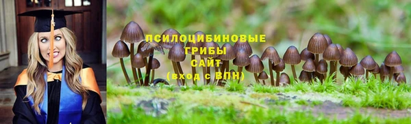 PSILOCYBIN Арсеньев