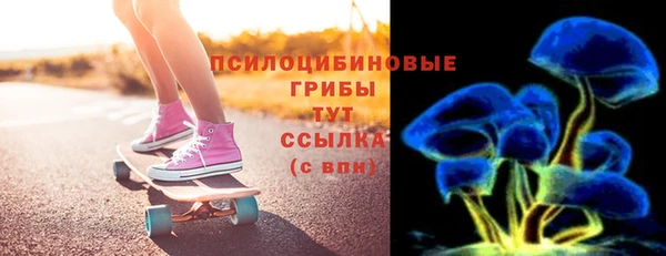 PSILOCYBIN Арсеньев
