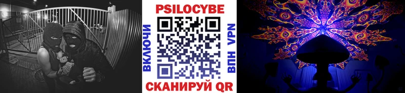 Псилоцибиновые грибы мицелий купить Ахтубинск