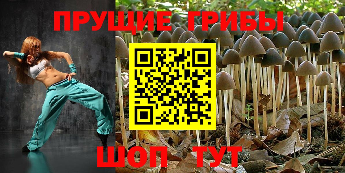Псилоцибиновые грибы ЛСД  Вход с VPN  Ахтубинск  Псилоцибиновые грибы прущие грибы 