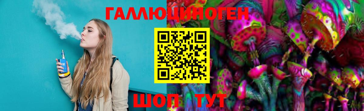 Псилоцибиновые грибы Psilocybe Ахтубинск